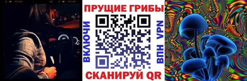 omg зеркало  где купить наркотик  Нарьян-Мар  Псилоцибиновые грибы ЛСД 